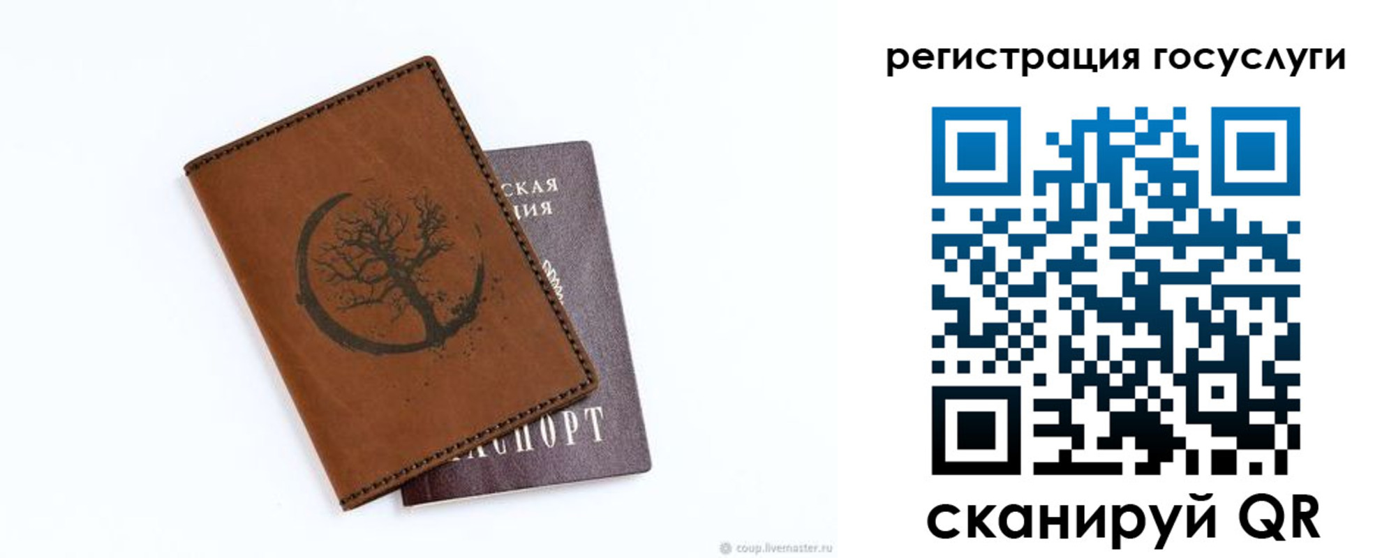 прописка для школы в Сураже