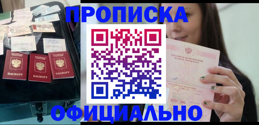 прописка законно в Сураже